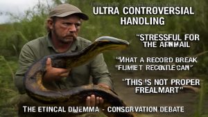 Field Biologists Found a Record Snake — Then Complete Silence Changed Everything