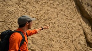 Rock Climbers in Italy Just Uncovered 80 Million Years of Ancient History