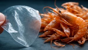 Scientists Turn Prawn Shells Into Plastic—The Results Could Change Everything